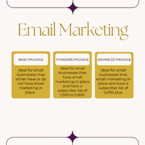 ecs email marketing consultation
