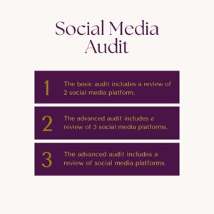 small business social media audit ecs